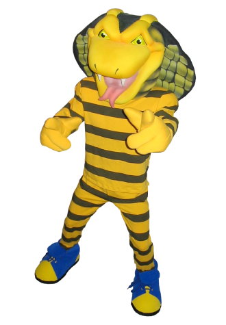 Coker College Cobra Mascot Costume
