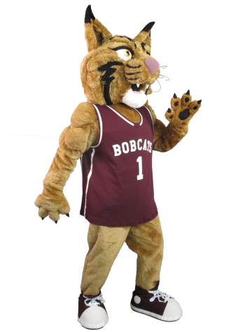 College of the Ozarks Bruiser T Mascot Costume