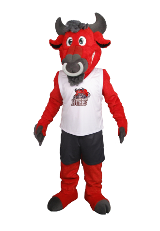 Collegio Granadino Bull Mascot Costume