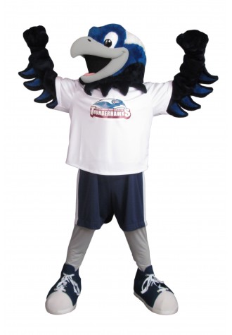 Confederation College Thunderhawk Mascot Costume