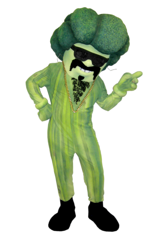 DPA Industries Brock Lee Mascot Costume