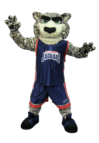 Ecole Le Sommet Jaguar Mascot Costume