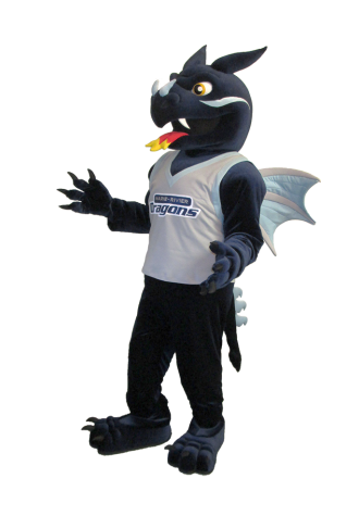 Ecole Secondaire Catholique Marie Rivier Dragon Mascot Costume