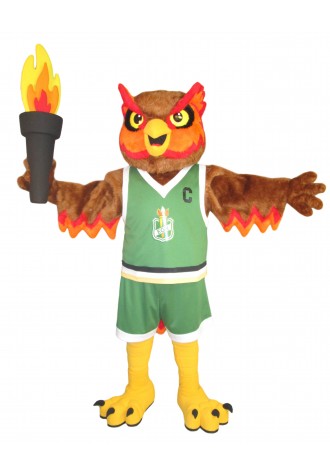 Ecole Grande Riviere Flambou Mascot Costume