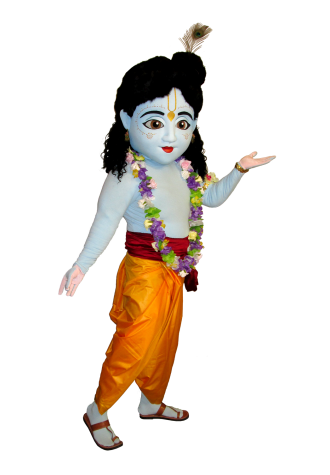 Festival of India Krishna Mascot Costume