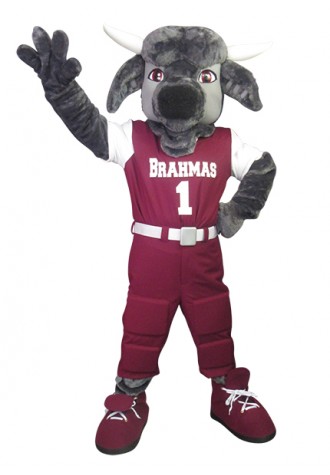 Halletsville High School Bruiser Mascot Costume