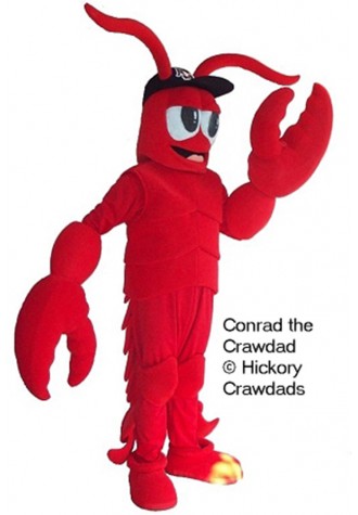 Hickory Crawdads Conrad Mascot Costume