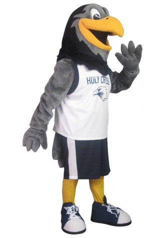 Holy Cross Catholic Academy (Woodbridge) Hawk Mascot Costume
