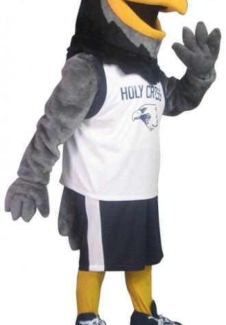 Holy Cross Catholic Academy (Woodbridge) Hawk Mascot Costume