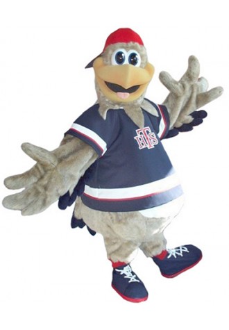 Holy Trinity School Hawkeye Mascot Costume