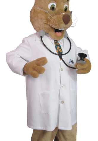 Huntington Medical Group Skippy the Wellness Rabbit Mascot Costume