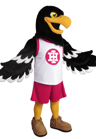 Indian Hill High School Eagle Mascot Costume