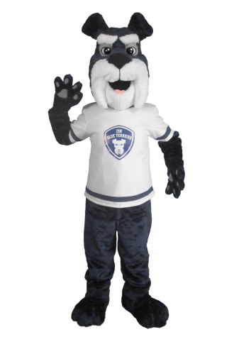 International School of Boston Blue Terrier Mascot Costume