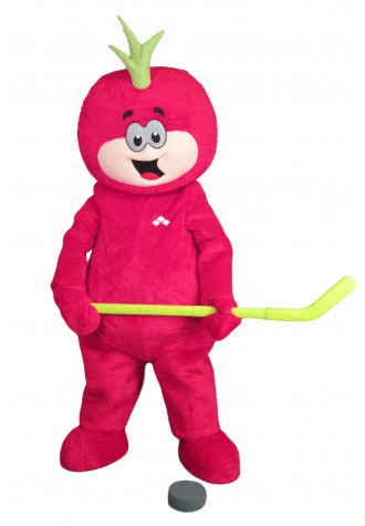 KFL  A Public Health Super Snackable Mascot Costume