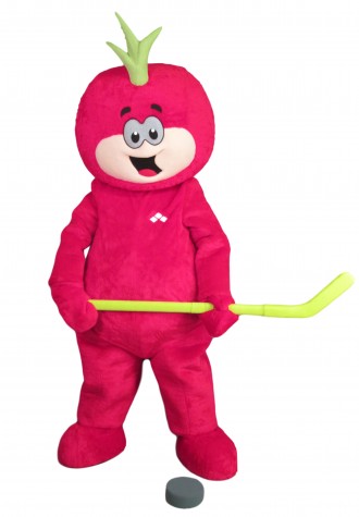 KFL  A Public Health Super Snackable Mascot Costume