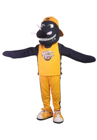 Lake Placid High School Bandit Mascot Costume