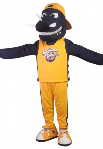Lake Placid High School Bandit Mascot Costume