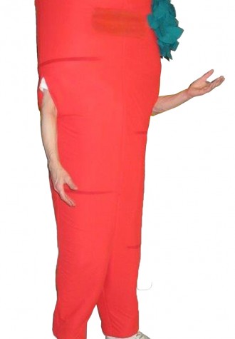 Les Production Prime Carrot Mascot Costume