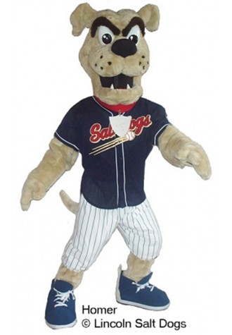 Lincoln Saltdogs Homer Mascot Costume