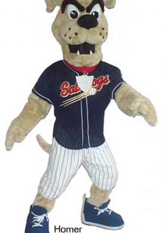 Lincoln Saltdogs Homer Mascot Costume