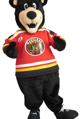 Maryland Black bears Benny the Black bear Mascot Costume