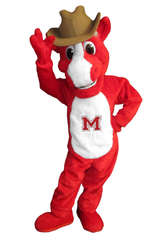Medway High School Cowboy the Horse Mascot Costume