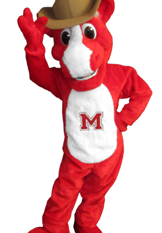 Medway High School Cowboy the Horse Mascot Costume