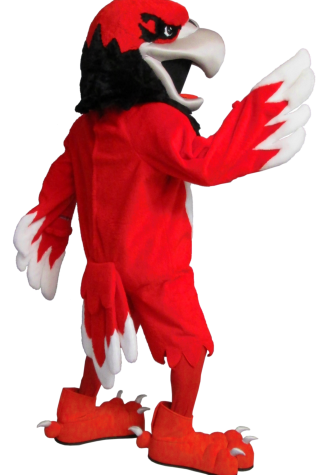 Miami University of Ohio Swoops Mascot Costume