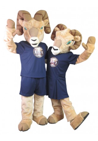 Millikan High School Millie and Robbie Mascot Costume