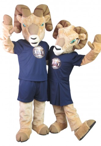 Millikan High School Millie and Robbie Mascot Costume