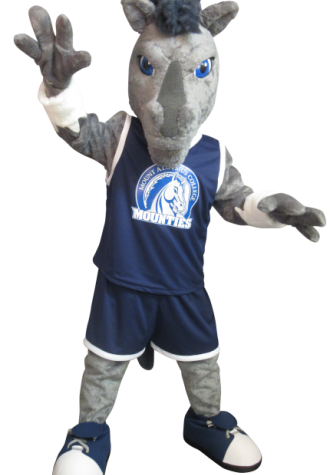Mount Aloysius College Horse Mascot Costume
