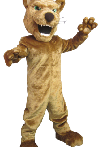 Nease High School Golden Panther Mascot Costume