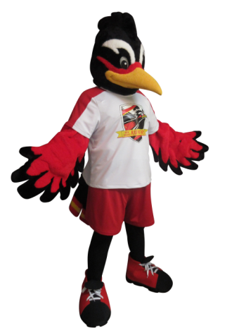 New Mexico Runners Arena Soccer Rio Mascot Costume