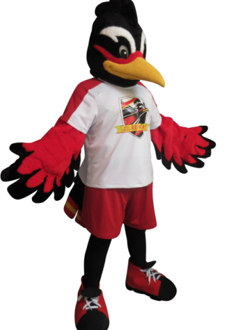 New Mexico Runners Arena Soccer Rio Mascot Costume