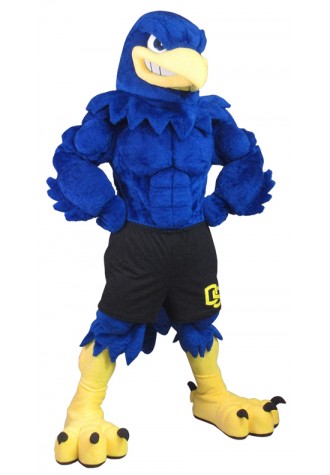 Olathe South High School Frederick the Falcon Mascot Costume