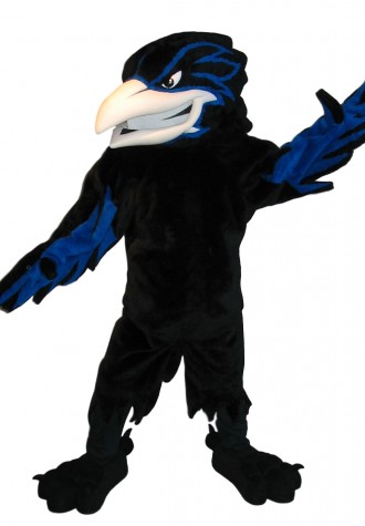 Olathe College HS Raven Mascot Costume