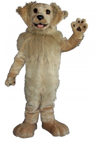 Ontario Women's Hockey Assoc. Pawsitive Mascot Costume