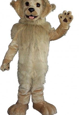 Ontario Women's Hockey Assoc. Pawsitive Mascot Costume