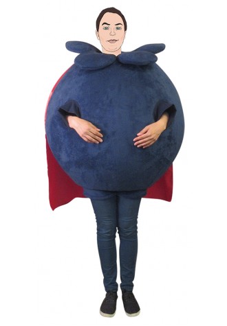 Pioneer Advertising IMA BLUEBERRY face Mascot Costume
