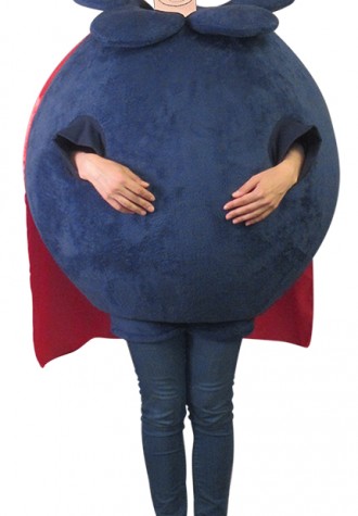 Pioneer Advertising IMA BLUEBERRY face Mascot Costume