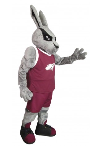 Ralls High School Jack Rabbit Mascot Costume