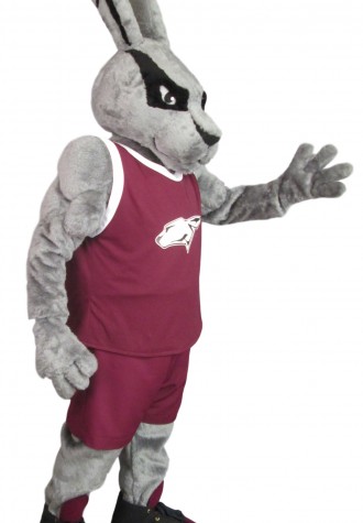 Ralls High School Jack Rabbit Mascot Costume