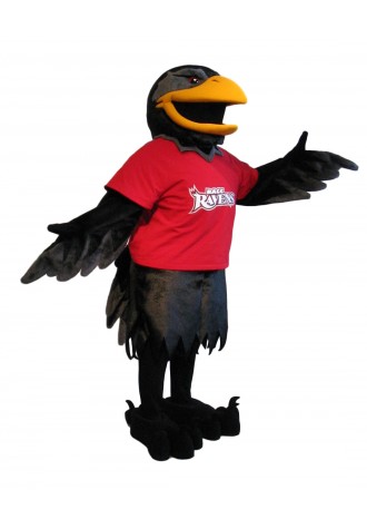 Reading Area Raven Mascot Costume