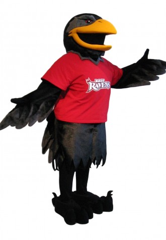 Reading Area Raven Mascot Costume