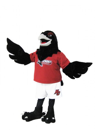 Rosemount College Raven Mascot Costume