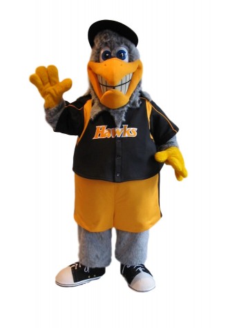 Southbend Silver Hawks Swoop the Silverhawk Mascot Costume