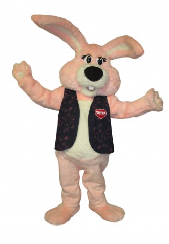 St. Mikes Hospital Palliative Care Susan the Easter Bunny Mascot Costume