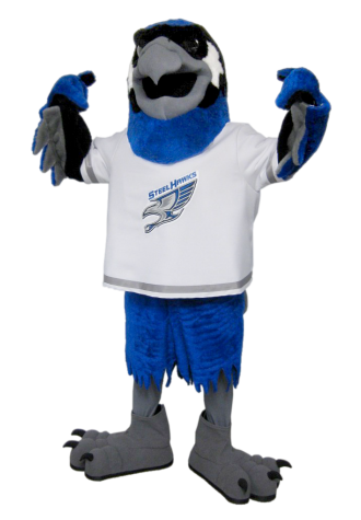 Superior Heights C. and V. School Steel Hawk Mascot Costume