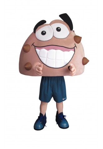 Today's Family Dentistry Chip Mascot Costume