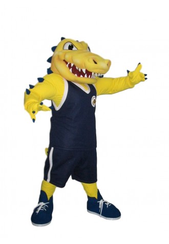 Vernon School District Mascot Costume